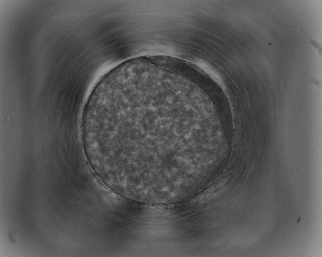 X0000091461104200709131729