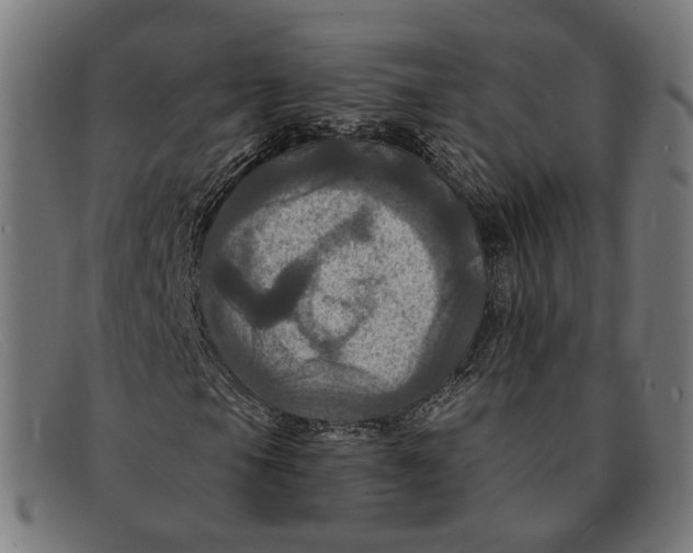 X0000091461105200709131728