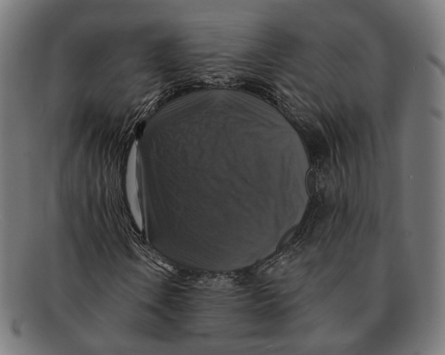 X0000091461106200709131728