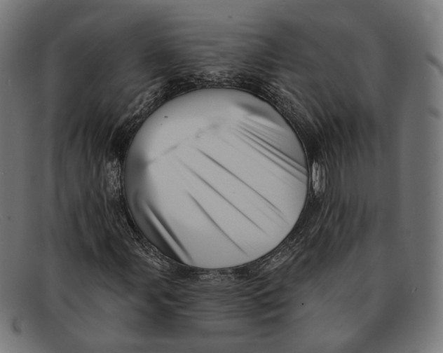 X0000091461107200709131728