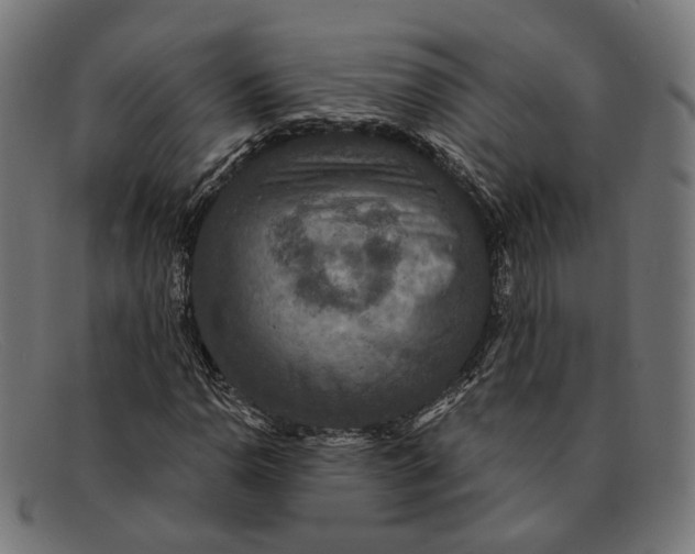 X0000091461110200709131728