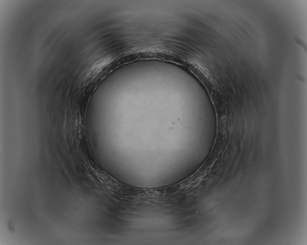 X0000091461111200709131728