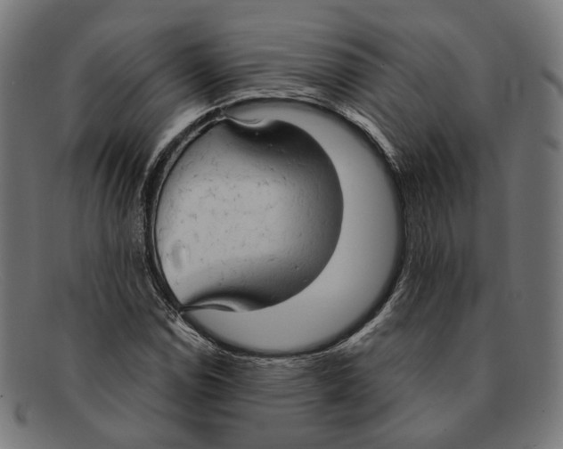 X0000091461114200709131728