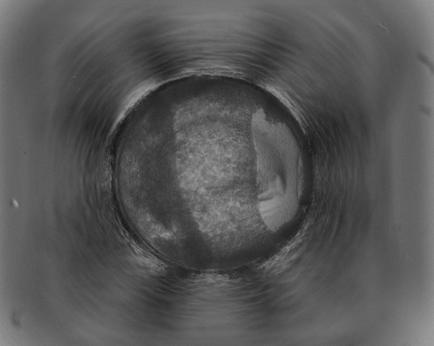 X0000091461115200709131728