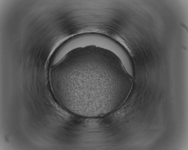 X0000091461116200709131728