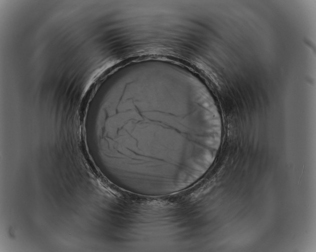 X0000091461117200709131728