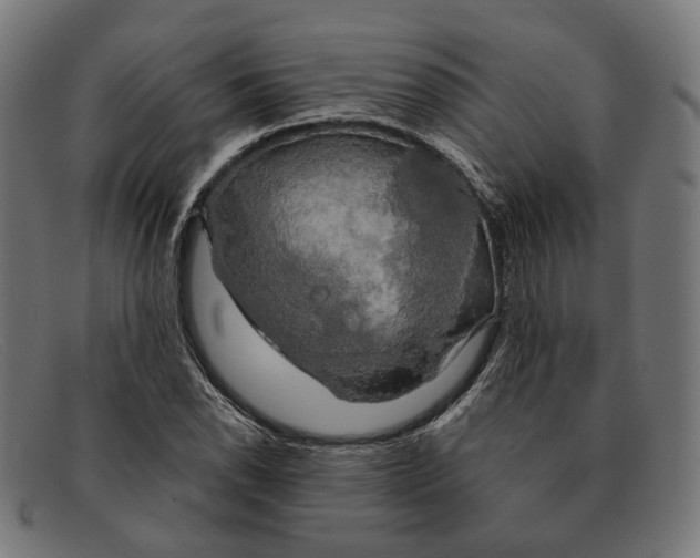 X0000091461118200709131728