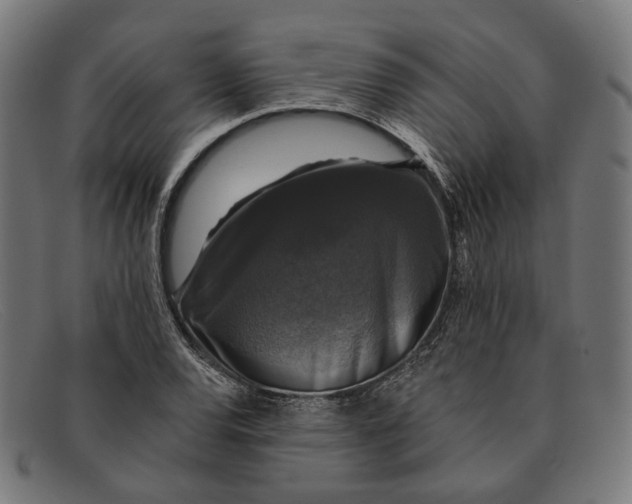 X0000091461120200709131728
