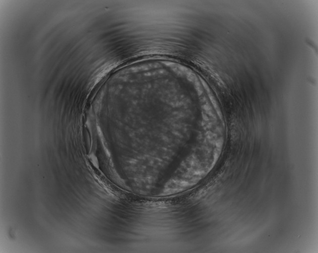 X0000091461121200709131728