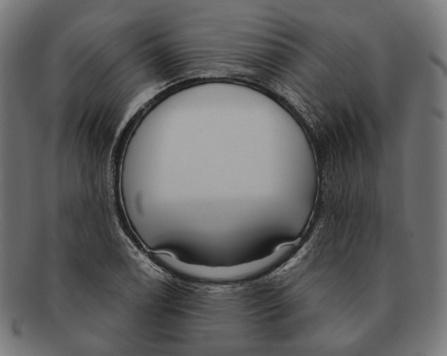 X0000091461122200709131729