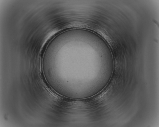 X0000091461123200709131729