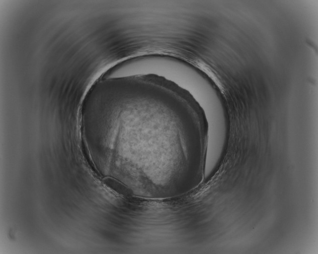 X0000091461124200709131729