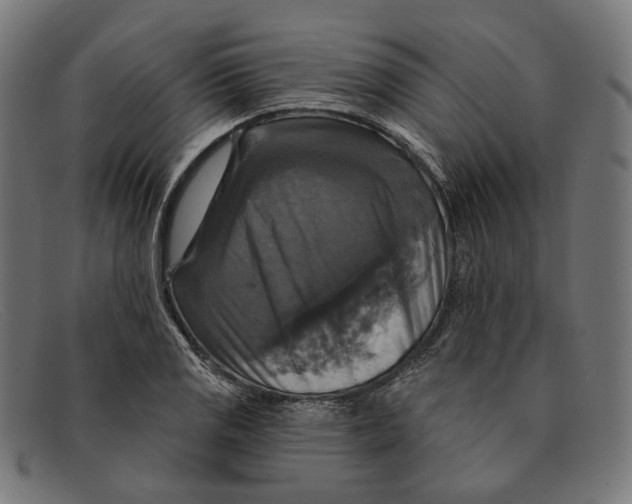X0000091461125200709131729