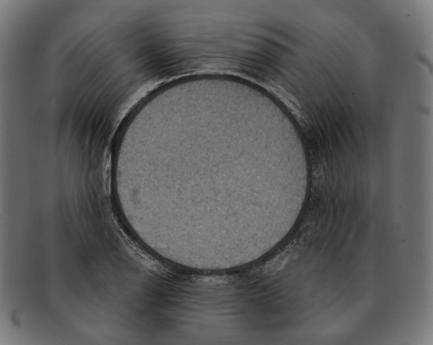 X0000091461126200709131729