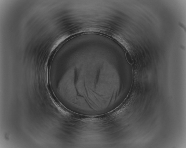 X0000091461127200709131729