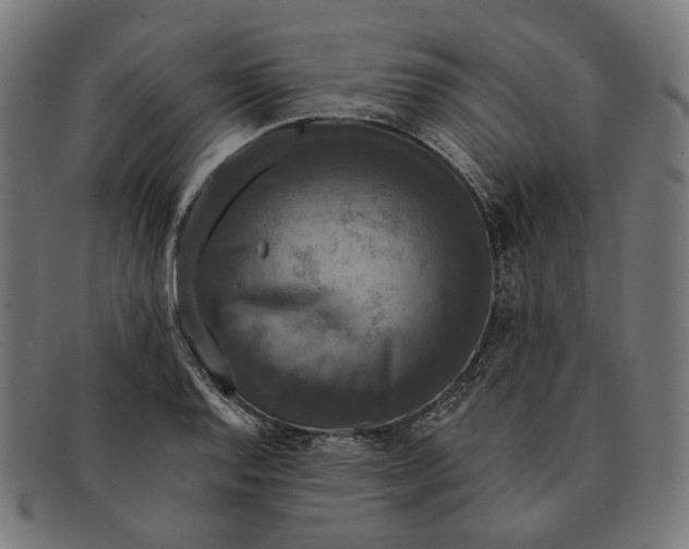 X0000091461128200709131729