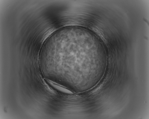 X0000091461129200709131729