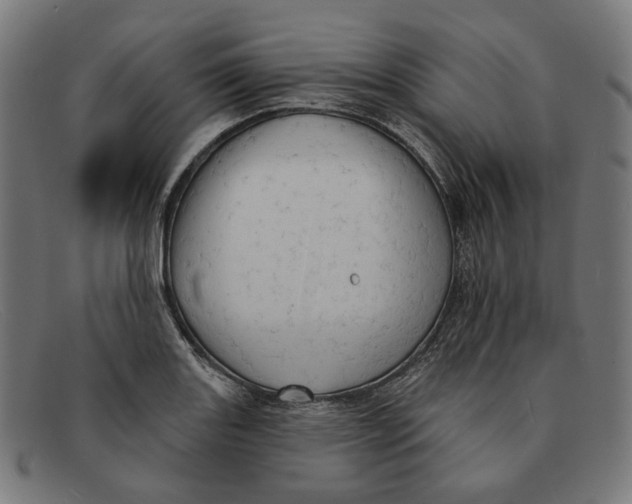 X0000091461131200709131729