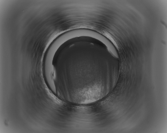 X0000091461132200709131729