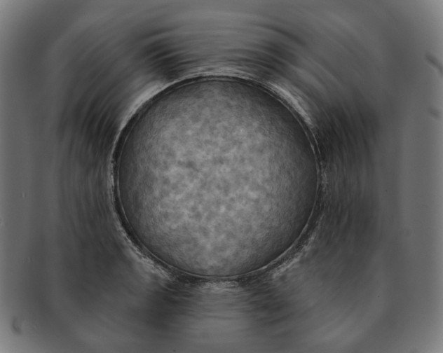 X0000091461133200709131729