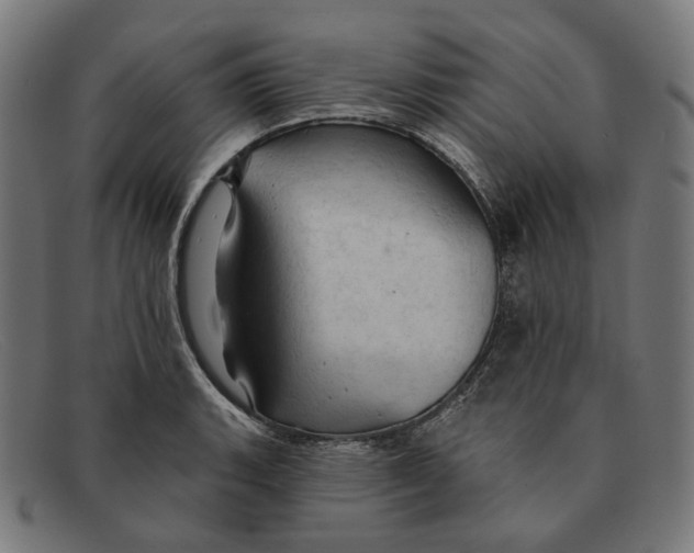 X0000091461135200709131729