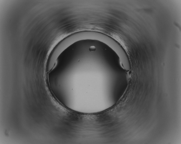 X0000091461136200709131729