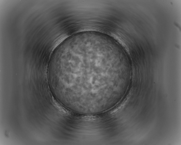 X0000091461137200709131729