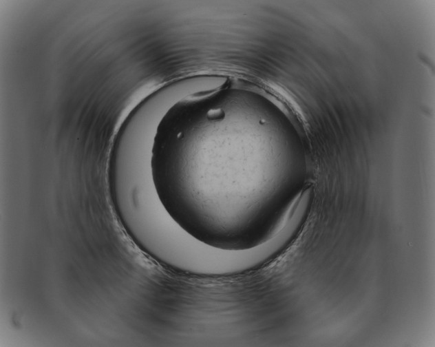 X0000091461138200709131729