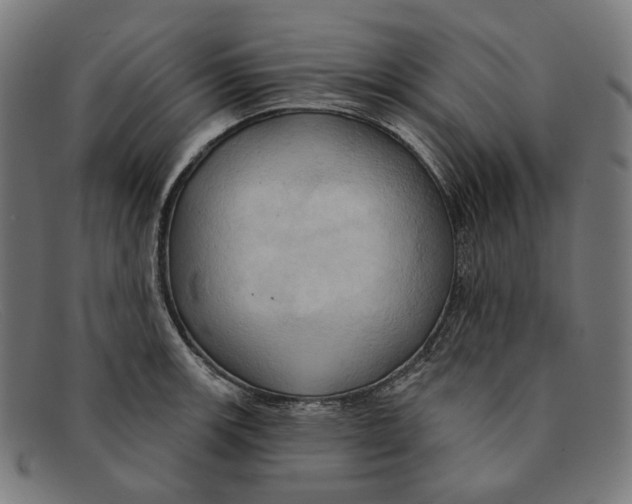 X0000091461139200709131729