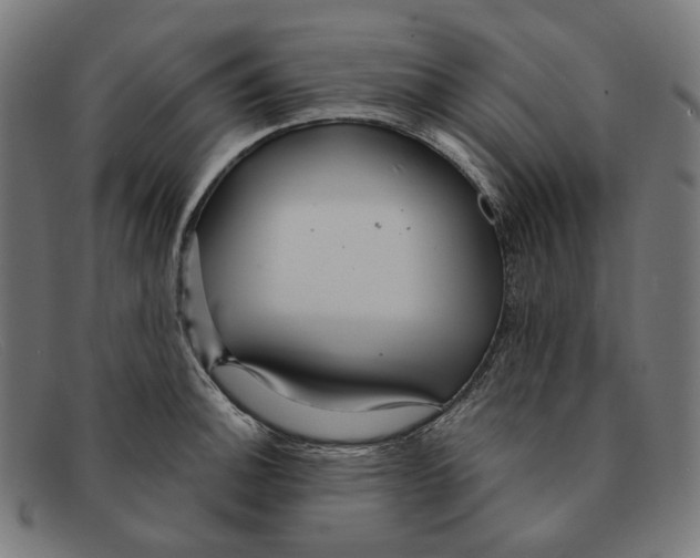 X0000091461140200709131729