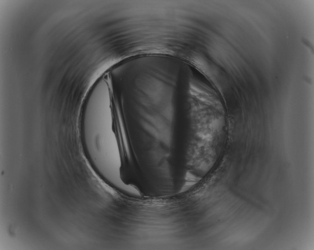X0000091461141200709131729