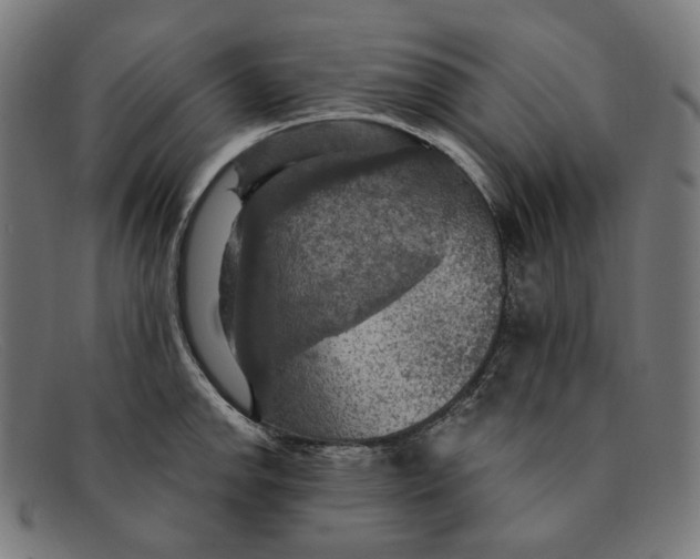 X0000091461142200709131729