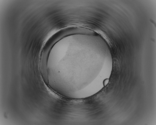X0000091461143200709131729