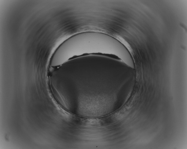 X0000091461144200709131729
