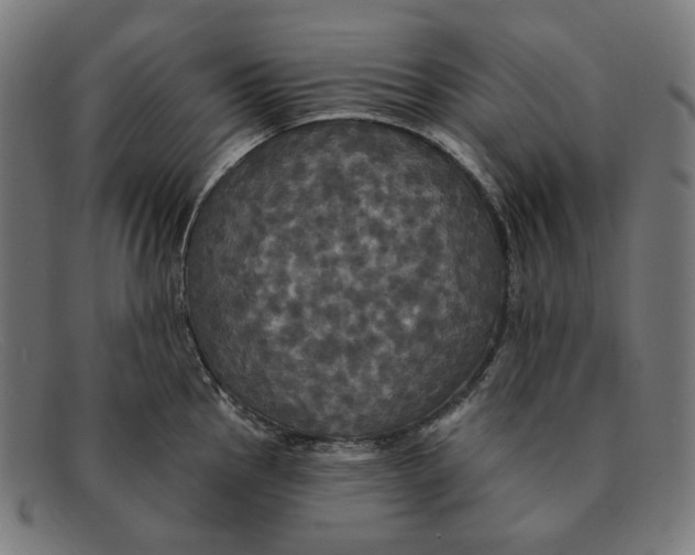 X0000091461145200709131729