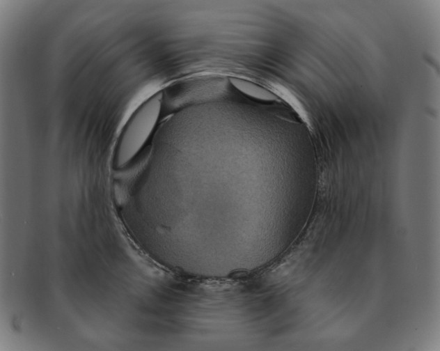 X0000091461146200709131729