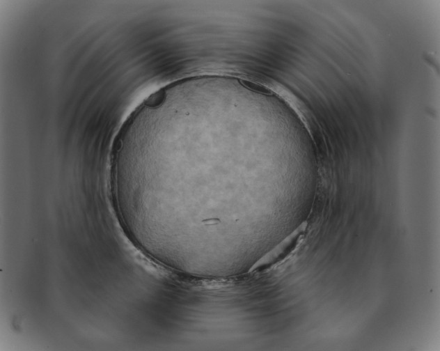 X0000091461147200709131729