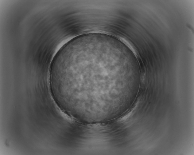 X0000091461149200709131729