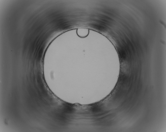 X0000091461150200709131729