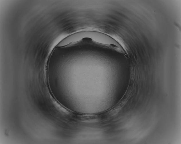 X0000091461151200709131729