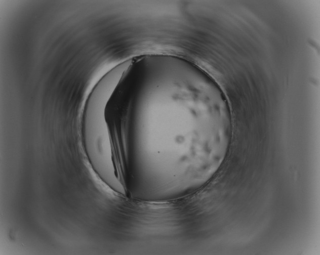 X0000091461152200709131729