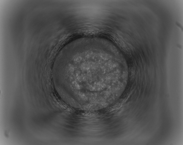 X0000091461153200709131728
