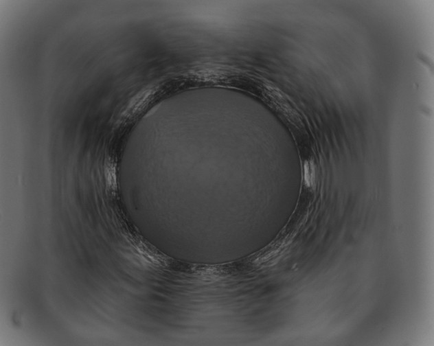 X0000091461155200709131728