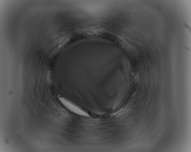 X0000091461156200709131728