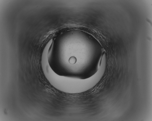 X0000091461157200709131728