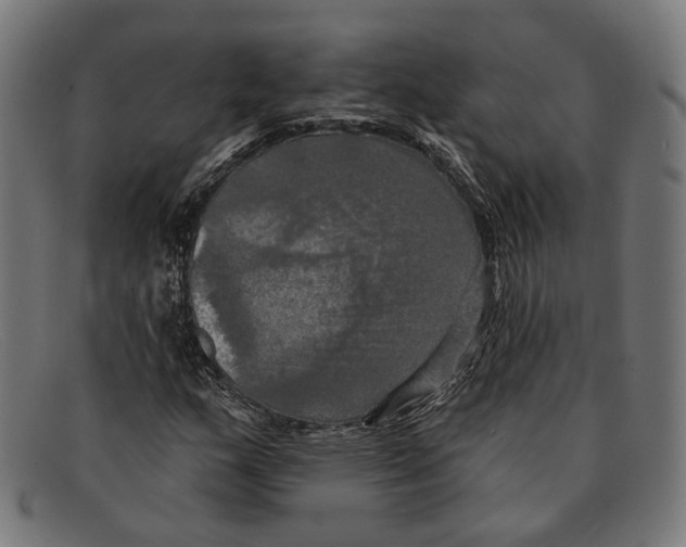 X0000091461159200709131728
