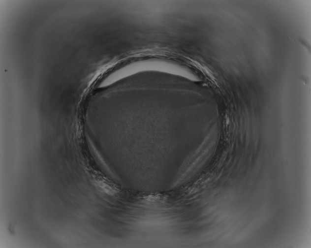 X0000091461160200709131728