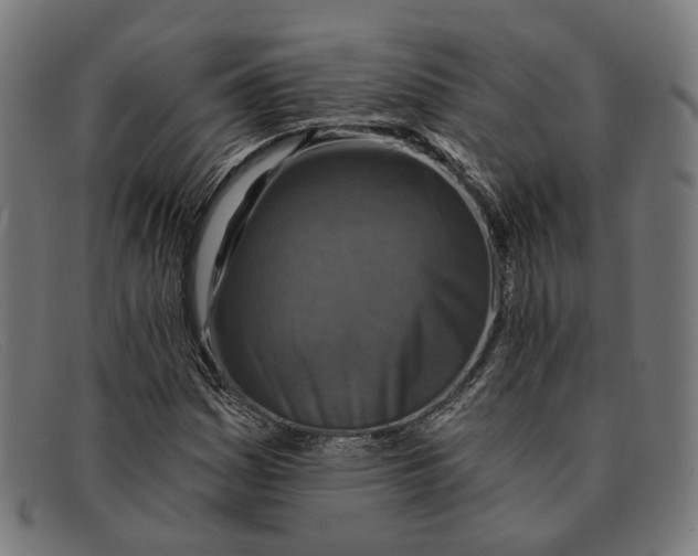 X0000091461161200709131728