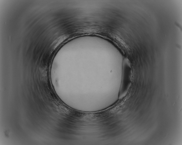 X0000091461162200709131728