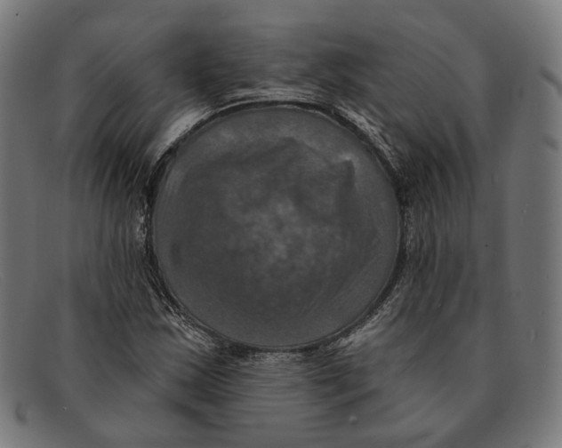 X0000091461163200709131728